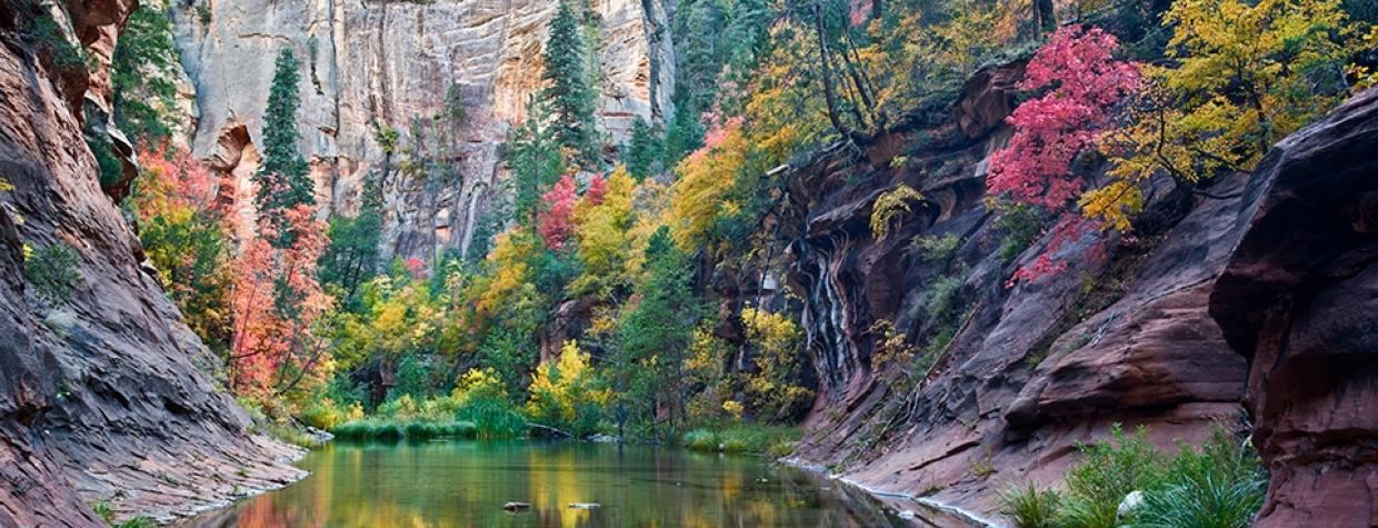 West Fork Oak Creek Trail | Arizona Highways