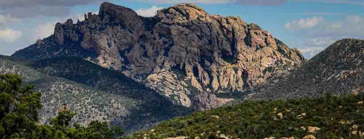 bob-miller-chiricahua-mountains.jpg