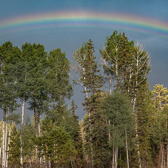 A vibrant rainbow arches over aspens and evergreens south of Big Lake. | Paul Gill