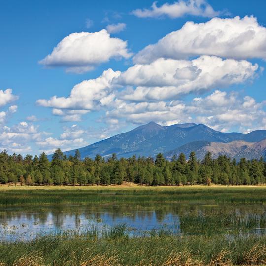 Marshall Lake’s calm water mirrors nearby ponderosa pines beneath the San Francisco Peaks. | Tom Bean