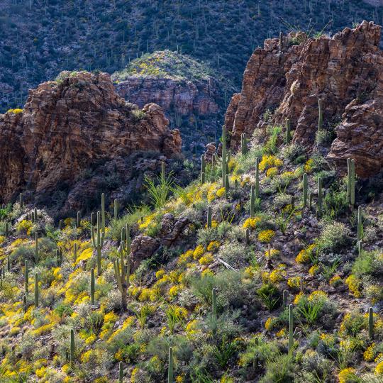 Photograph by Jeff Maltzman