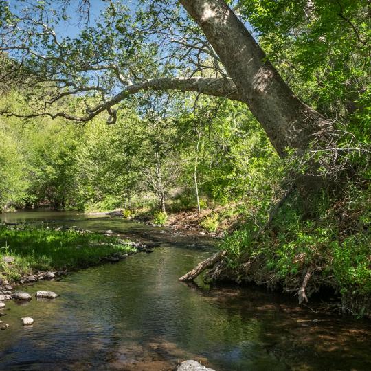 Eagle Creek flows through one of several riparian areas along Upper Eagle Creek Road.  By Paul Gill