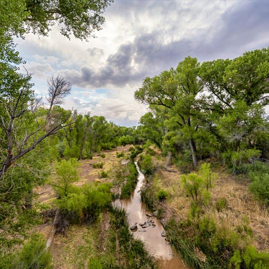 Storm clouds gather over the San Pedro River in a view near Charleston Road. By A.O. Tucker