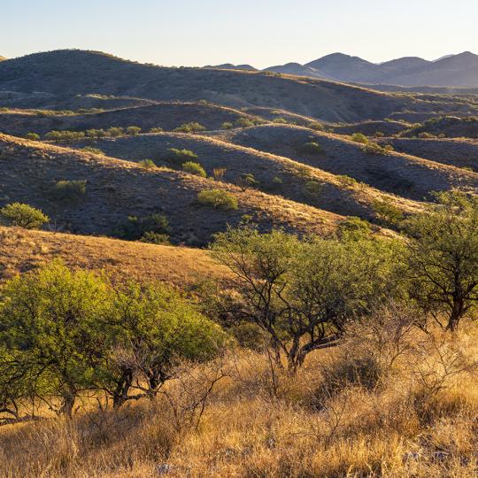 Rolling grasslands anchor a view of distant peaks from Tres Bellotas Road. | Jeff Maltzman 