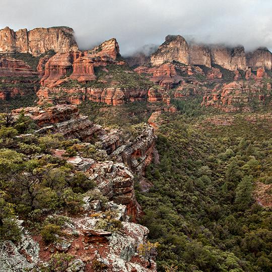 0119_boyntoncanyontrail.jpg