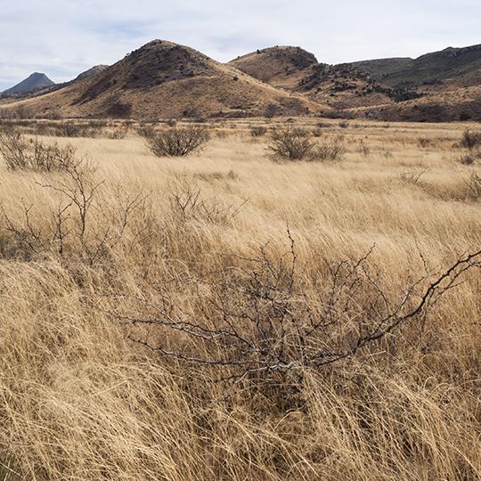 0318_ruckercanyonloop.jpg