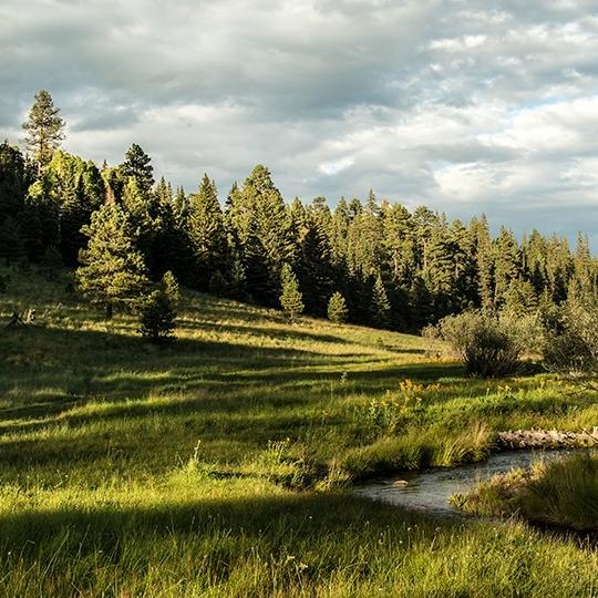 0615_westbaldytrail.jpg