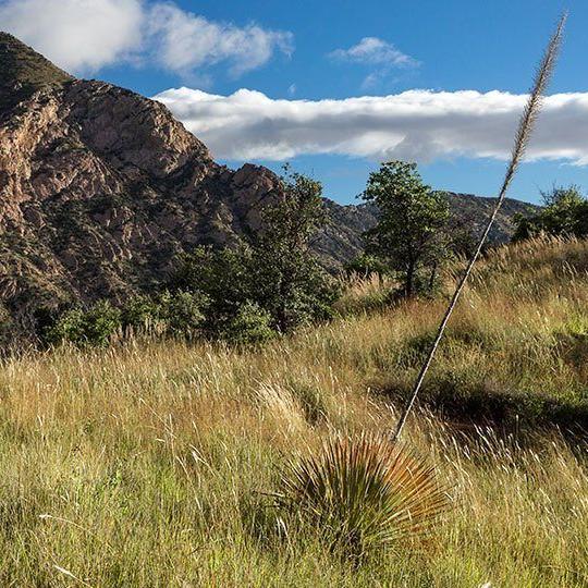 0817_joecanyontrail.jpg