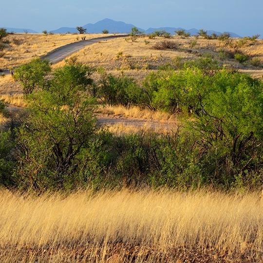 drive_south_empireranchrd_1113.jpg