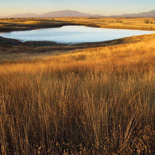drive_south_sonoita_172.jpg
