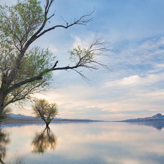 drive_west_cottonwood_126.jpg
