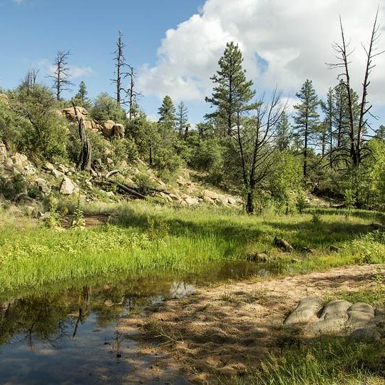 hike_0116_central_apachecreek.jpg