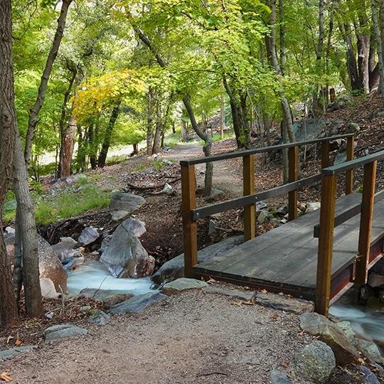 hike_0215_southern_hamburgtrail.jpg