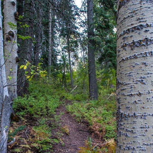 hike_e_sixshooter_0210.jpg