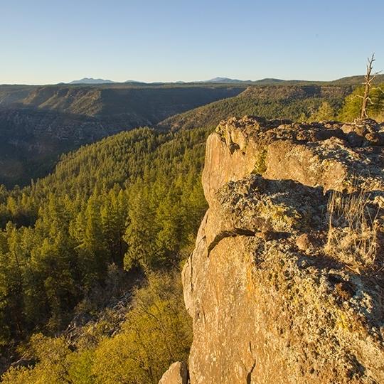 hike_n_kelseydorseyloop1114.jpg