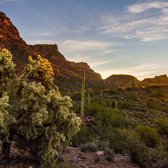 0319_HieroglyphicTrail.jpg
