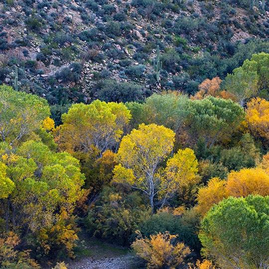 0321_GilaRverCanyon.jpg