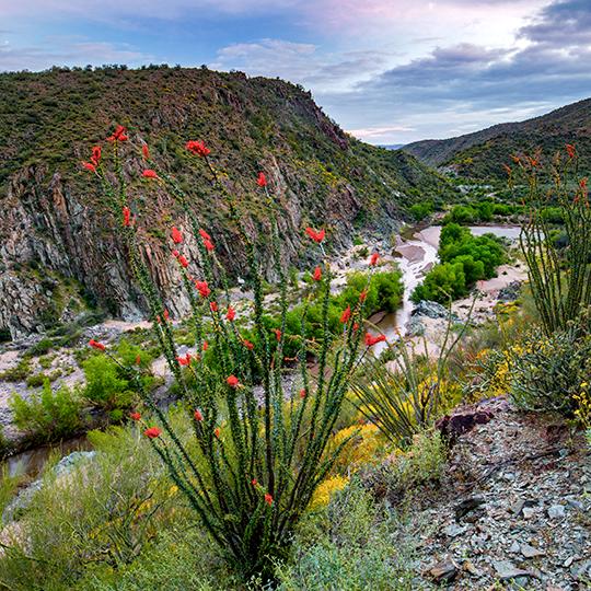 0419_BlackCanyonNatRecTrail.jpg