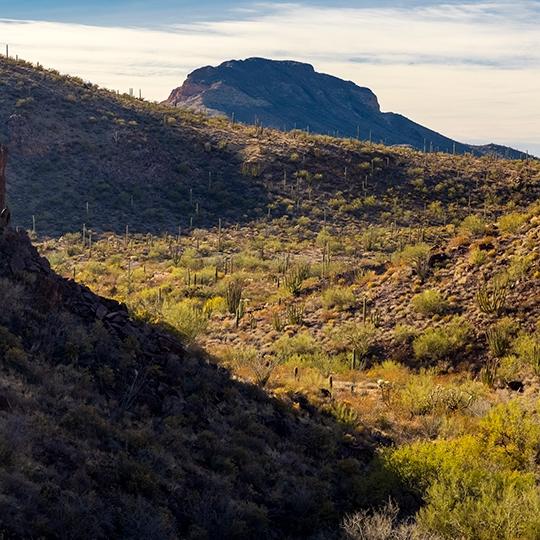 0521_Hike_Estes_Canyon_Maltzman.jpg