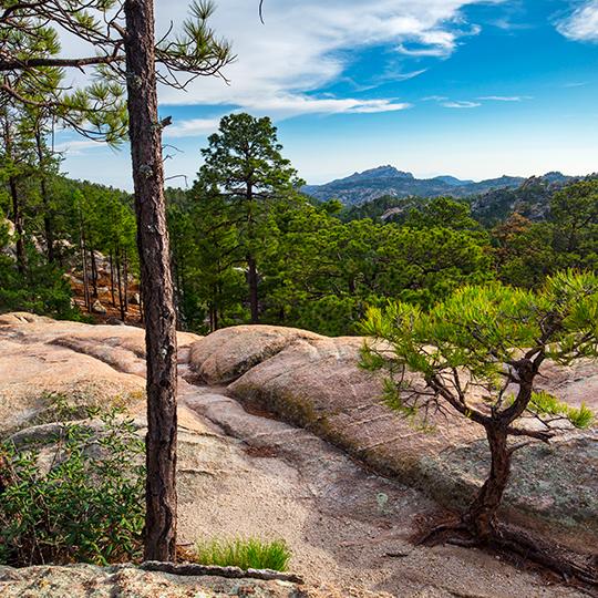 0719_WildernessRockTrail.jpg