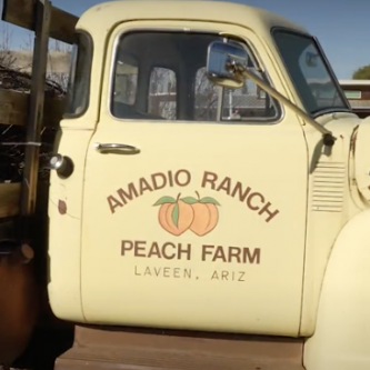 amadio ranch