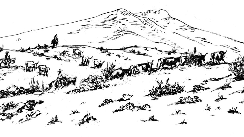 Black and white illustration by Ross Santee of a cattle drive with sparse vegetation.