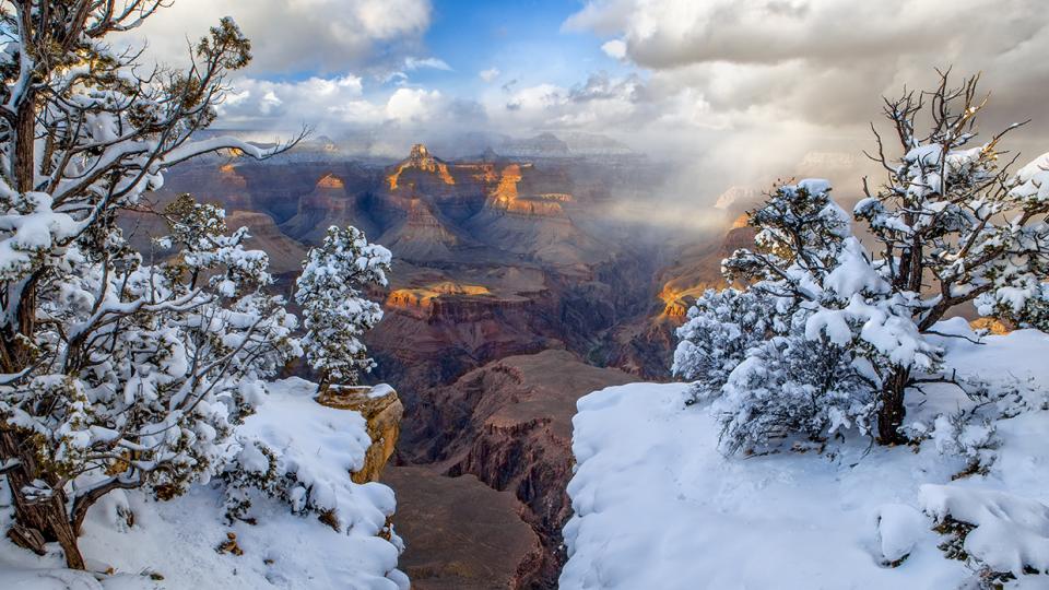 Snow-covered foliage near Yavapai Point, on the South Rim, anchors a view into the Grand Canyon at sunset. This photo illustrates how winter precipitation typically falls as snow on the Canyon’s rims, but melts into rain before reaching the bottom of the gorge. | Guy Schmickle