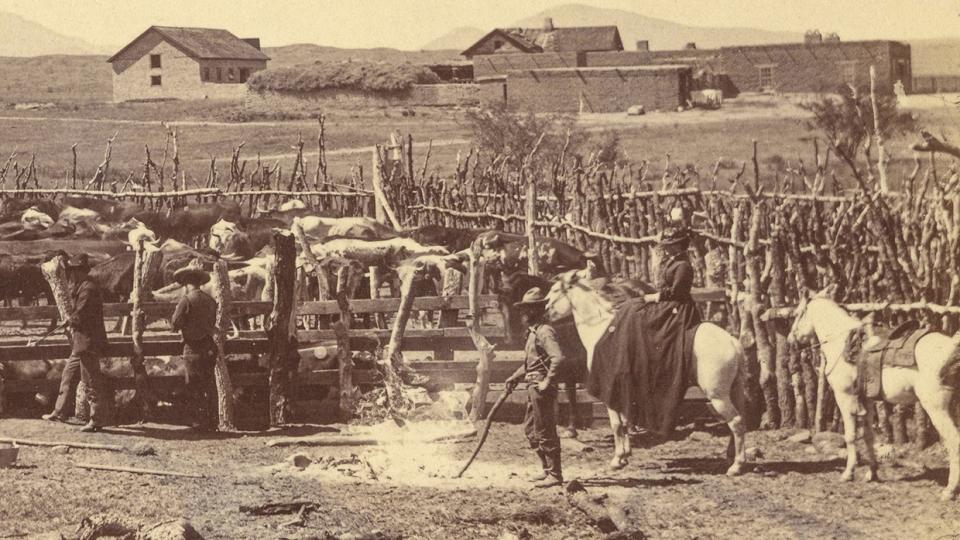 Margaret Vail, whose husband purchased the property in 1876, works cattle in the historic upper corral. | Empire Ranch Foundation