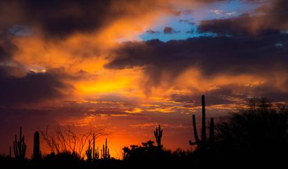 A desert sunset