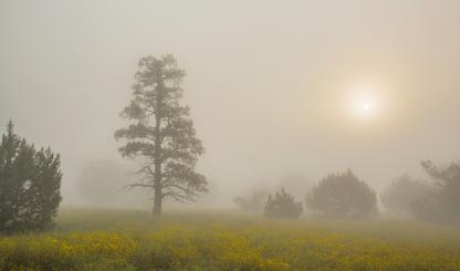 Photograph by Tom Bean