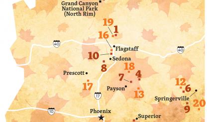 Fall Color Guide Map