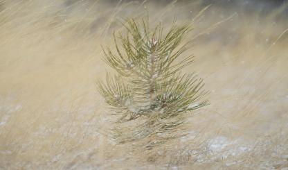 Photograph by John Burcham