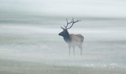 Photograph by Bill Ferris