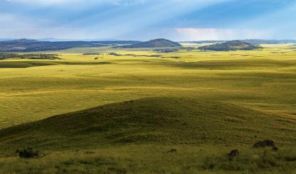 The summit of Wahl Knoll, a peak in Eastern Arizona’s White Mountains, offers a view of an expansive meadow and other rounded knolls. Reaching an elevation of more than 9,700 feet, Wahl Knoll is off State Route 261 northeast of Big Lake. | Joel Hazelton