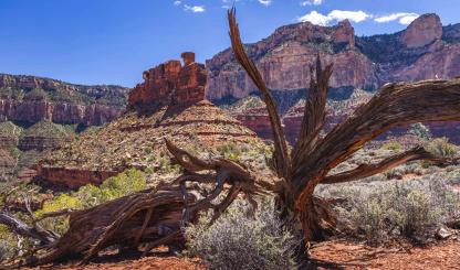 Battleship in the Grand Canyon