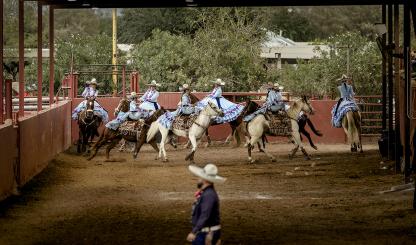Rayenari is one of the most successful U.S. teams in escaramuza, a Mexican tradition more than 70 years old. | Adriana Zehbrauskas