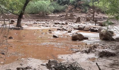 A color image shows the aftermath of flash flooding in the grand canyon and includes muddy water, debris and the remnants of a foot bridge.