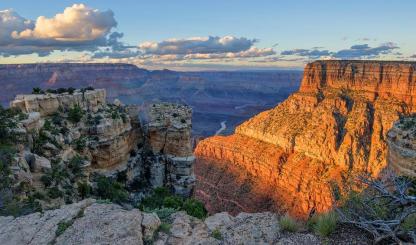 treerose photography grand canyon.jpg