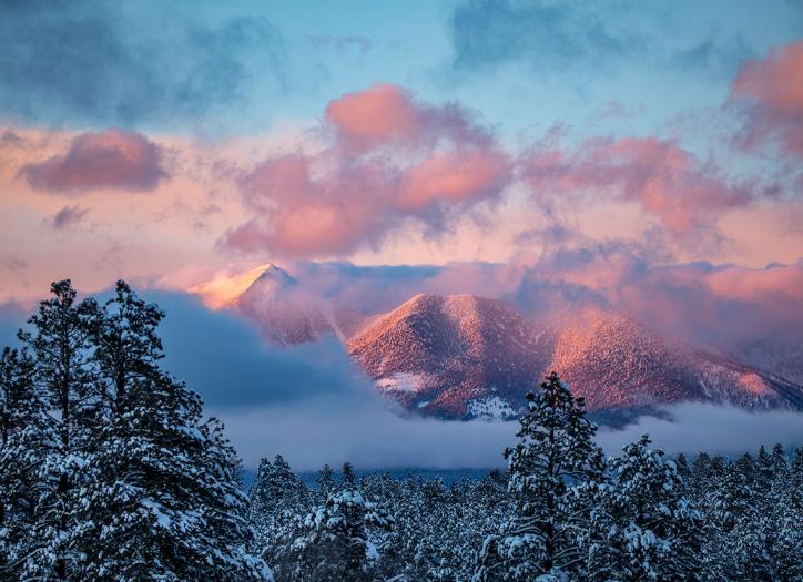 Photograph by Tom Bean