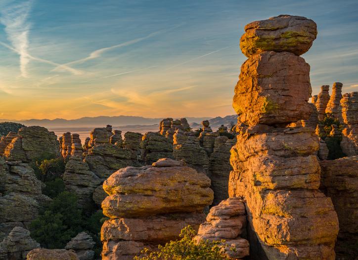 Photograph by Laurence Parent