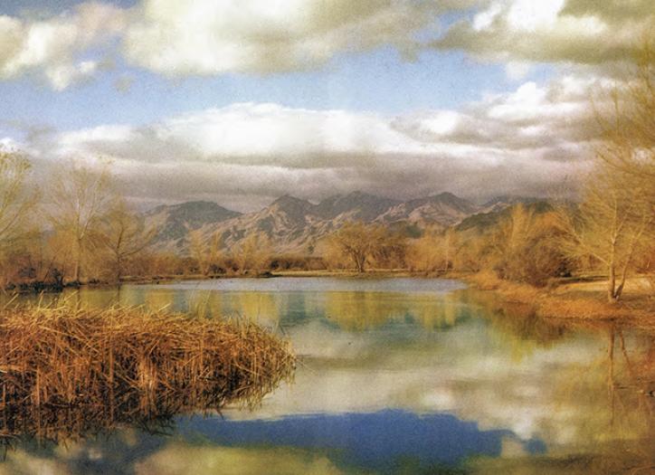 This painterly photograph by Esther Henderson shows autumn foliage and cloudy blue skies reflected in a lake with mountains in the background..