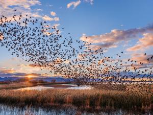 Photograph by Jack Dykinga