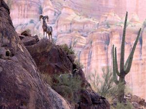 2021 contest winning entry submitted by Isabel Guerra Clark