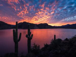 Photograph by Eric Mischke