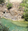 sherry-palmer-fossil-creek.png