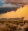 Photo by Sean Parker