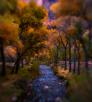 Bright Angel Creek flows past autumn-hued cottonwoods at the bottom of the Grand Canyon, as viewed from a footbridge that spans the creek. | Amy S. Martin 