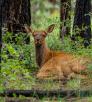 Photograph by Bruce D. Taubert
