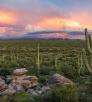 Photograph by Jeff Maltzman