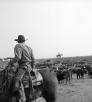 A black and white photograph of cowboys in Arizona